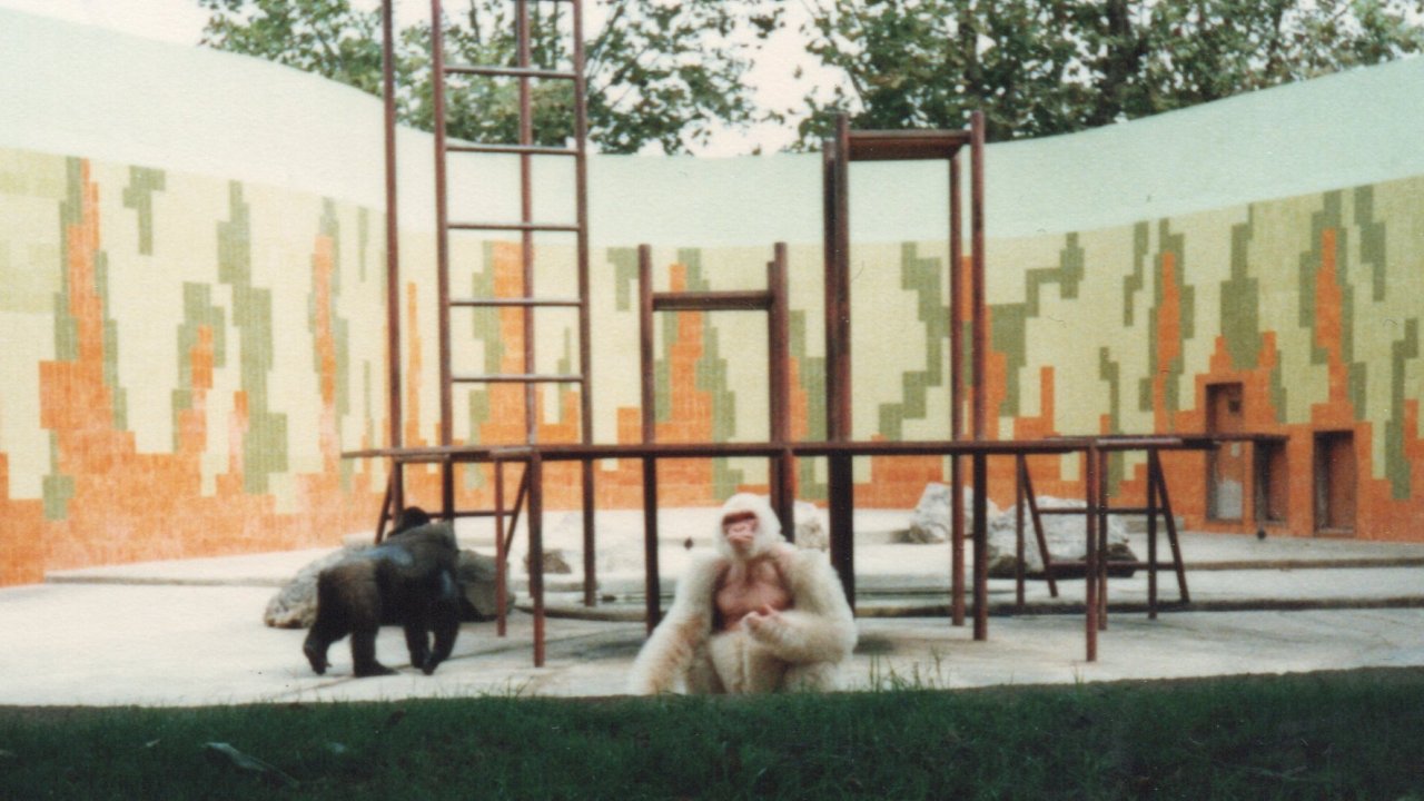 コピート・デ・ニエベ