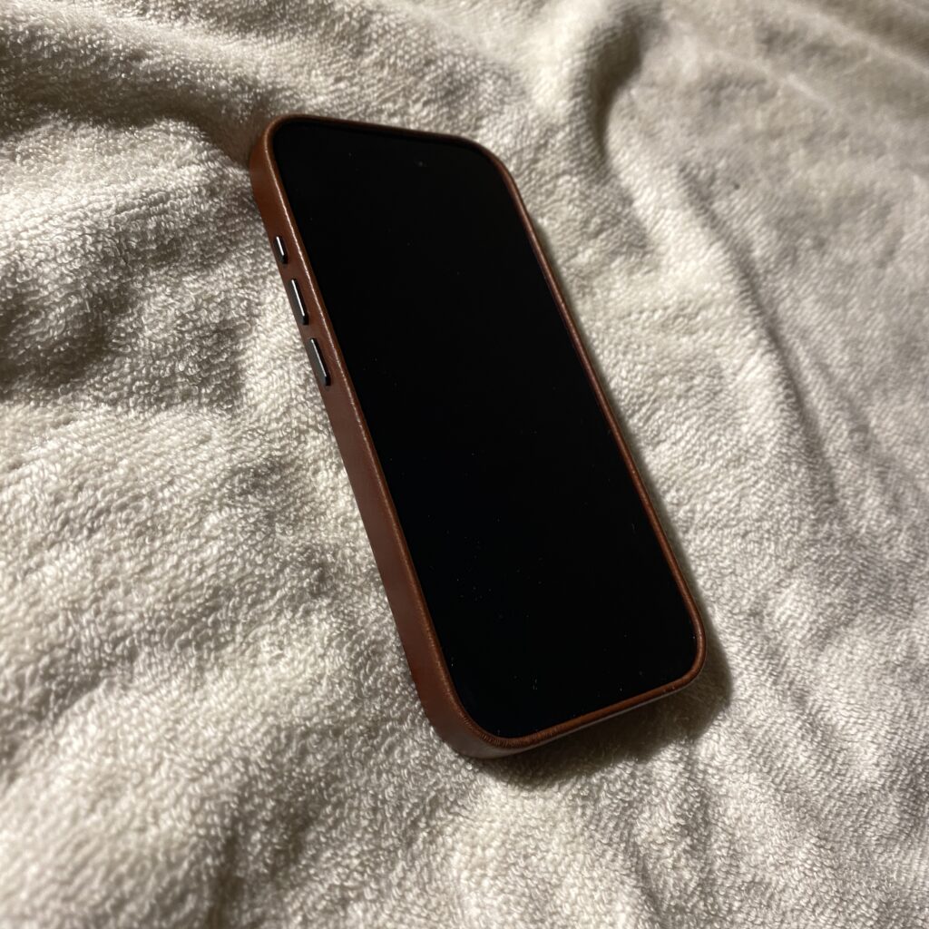 Sheldon iPhone 17 Pro Case