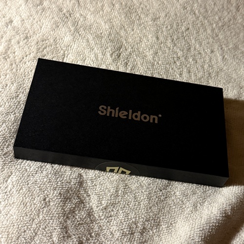 Sheldon iPhone 17 Pro Case