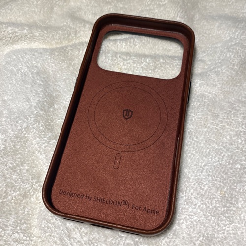 Sheldon iPhone 17 Pro Case