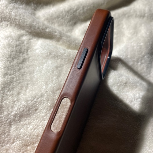 Sheldon iPhone 17 Pro Case