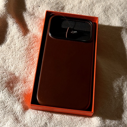 Sheldon iPhone 17 Pro Case