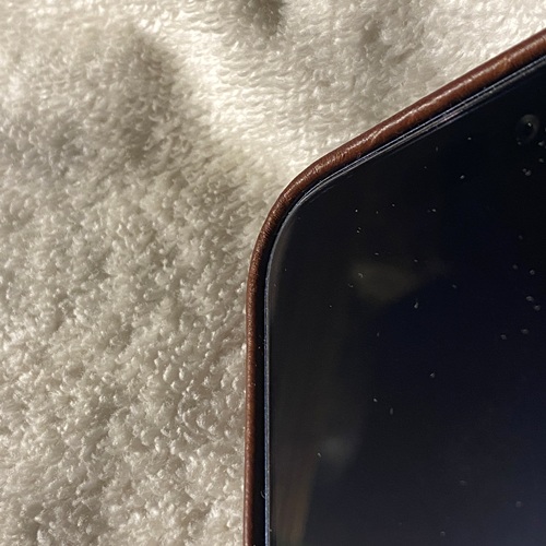 Sheldon iPhone 17 Pro Case