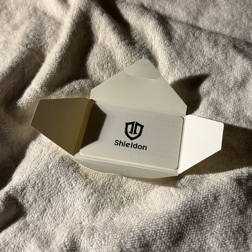 Sheldon iPhone 17 Pro Case