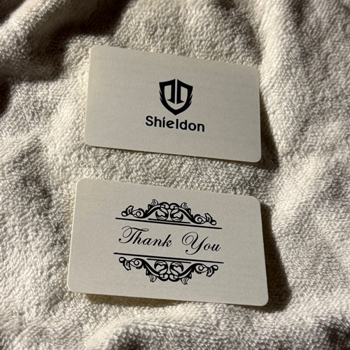 Sheldon iPhone 17 Pro Case