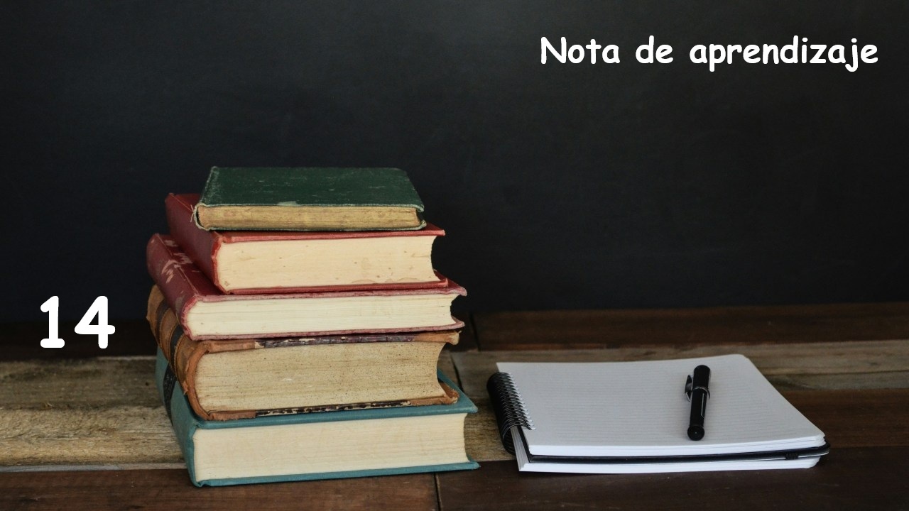 nota de aprendizaje 14