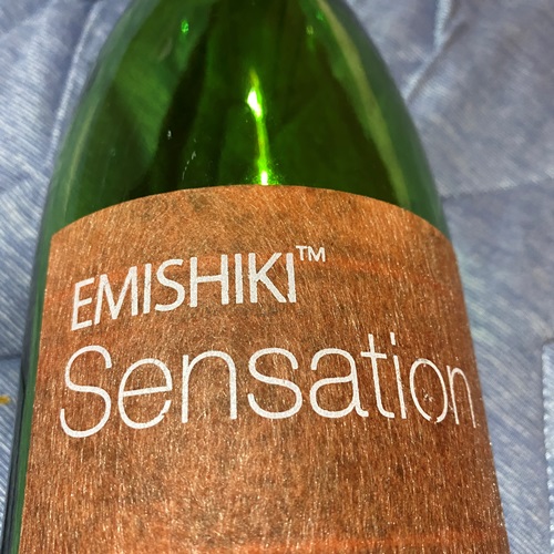emishiki-sensation-red-label-hiire6